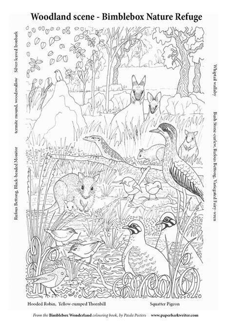 Free Grassy Woodland Colouring In Sheet Paperbark Writer