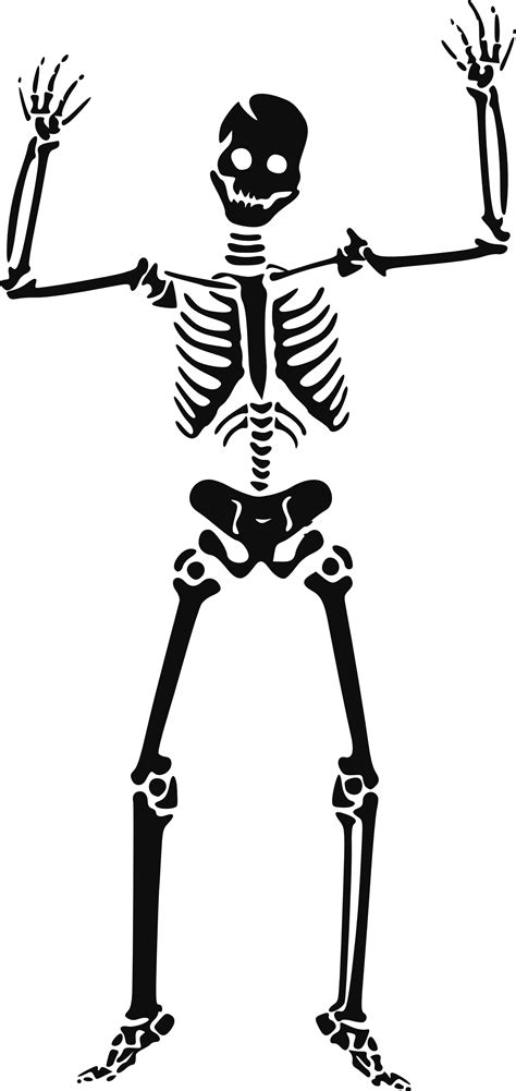 Human Skeleton Skull Clip Art Skeleton Png Download 15143200
