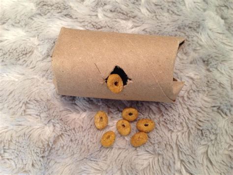 Homemade Puzzles Food Puzzles For Cats