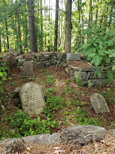 An Old Cemetery In The Woods Surrounded By Plants And Rocks With