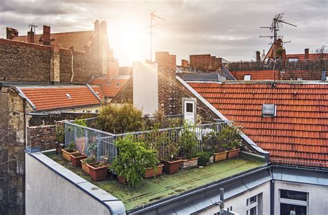 Berikut beberapa desain rooftop yang difungsikan menjadi ruang bermanfaat dan membuat hunian jadi lebih menyenangkan. Urban Gardening for Beginners | Physio Logic NYC