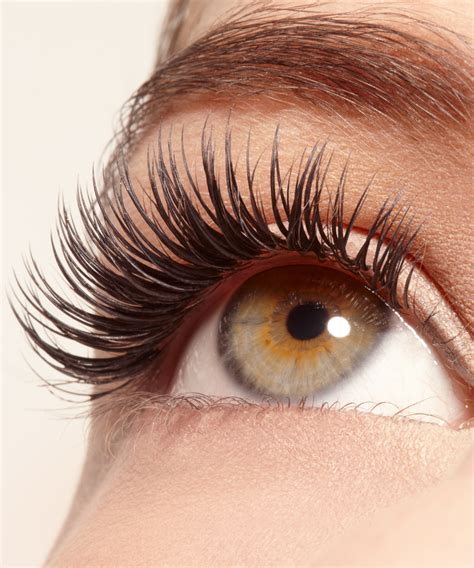 It was quick and easy and i did it using at home products! Everything You Need to Know Before Getting Eyelash ...