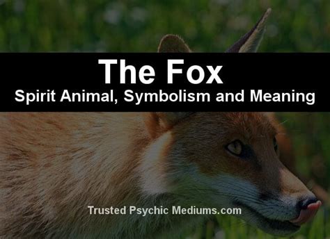 The Fox Spirit Animal A Complete Guide To Meaning And