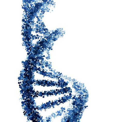 Dna Helix Vector Isolated On White Background — Amma Life Sciences
