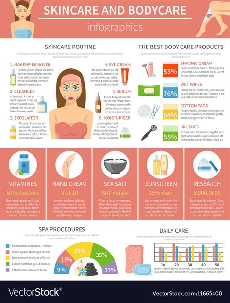Skincare And Bodycare Infographics Layout Vector Image