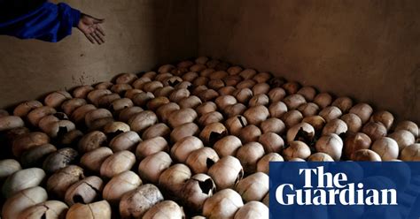 america s secret role in the rwandan genocide rwanda the guardian
