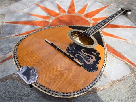 How To Identify Value Vintage Mandolins Complete Guide