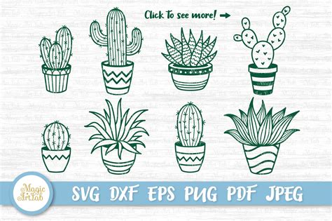 Svg Files For Cricut Cutting Machine Cactus And Succu Vrogue Co