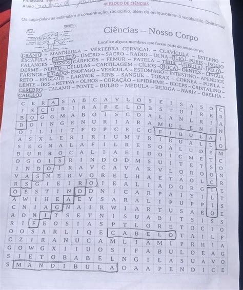 Caça Palavras Ciências Nosso Corpo
