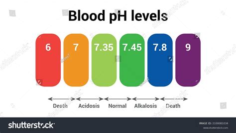 Human Blood Ph Level Icon Stock Vector Royalty Free 2100081034