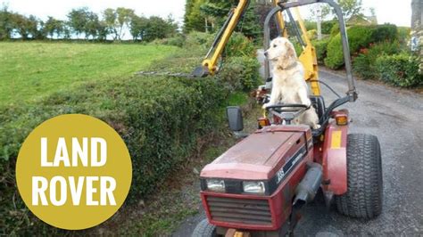 Dog Shows Off His Farming Skills Skillfully Driving His Masters