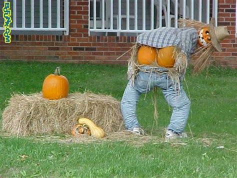 Funny Scarecrow 18 Pics