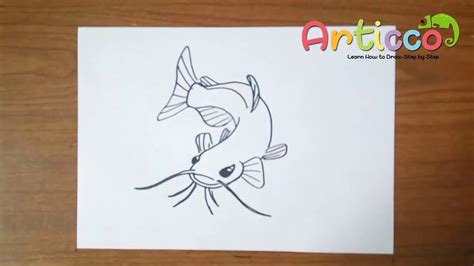 Water, and are located on a fish's snout. How to Draw CatFish Step by Step for Kids - YouTube