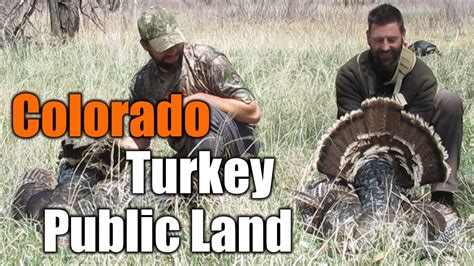 How To Hunt Turkey In Colorado On Public Land Mike Hunts Youtube