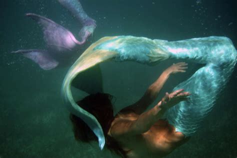 Sirenalia Mermaids Swim With Sharks And Manta Rays In The Great