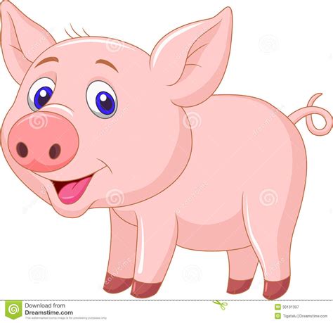 Cute Baby Pig Cartoon Stock Vector Illustration Of Farm