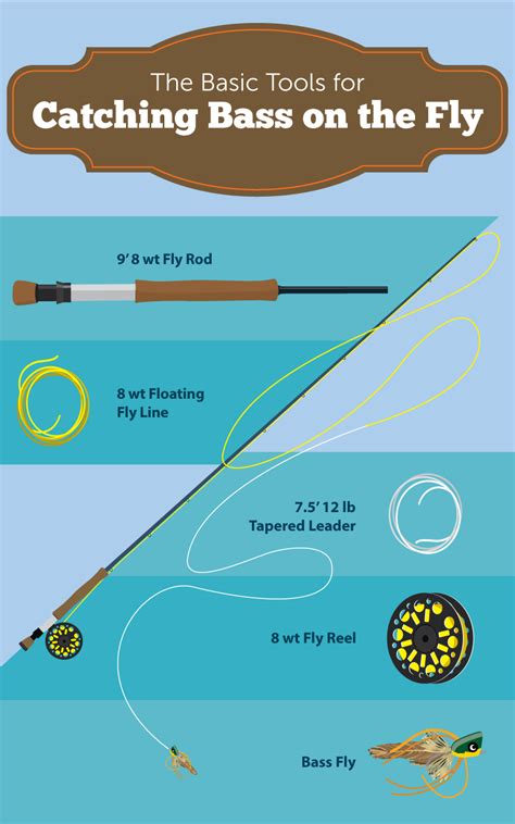 How To Catch Bass On A Fly Rod What They Eat And Where To Find Them