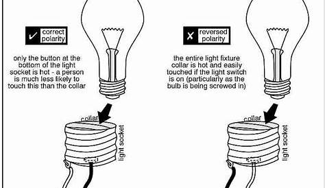 What parts of a socket and bulb are conductors and which are insulators