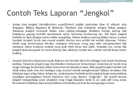 √Contoh Teks Laporan Hasil Observasi(LHO) : Pengertian, Ciri, Fungsi