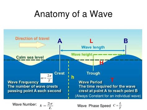 Anatomy Of A Wave L