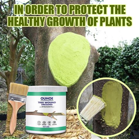 Tree Pruning Sealer Graft Healing Wound Cut Paste Smear Compound For