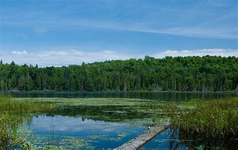 Canadian Wildlife Federation Recreating Natural Habitats