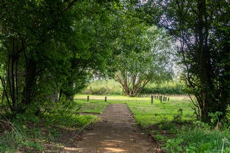 Willows Nature Reserve walk | Explore West Norfolk