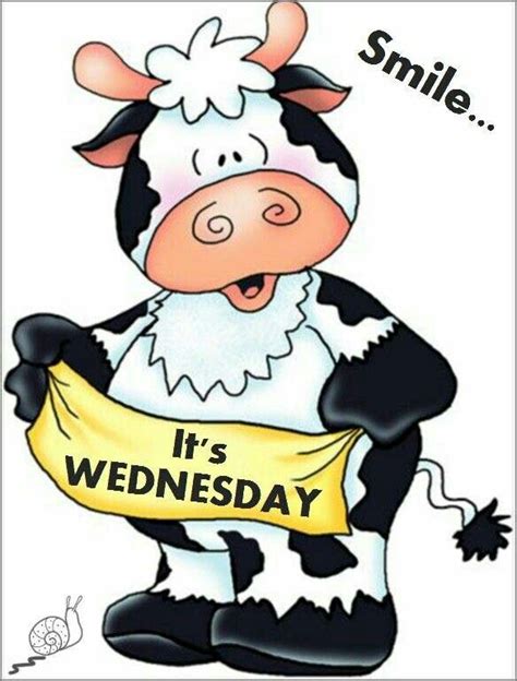 Wednesday Happy Wednesday Cow Cow Art