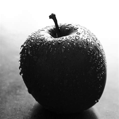 Apple In Black And White Photograph By Zoe Ferrie