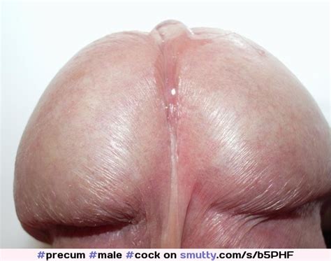 Precum Male Videos And Images Collected On