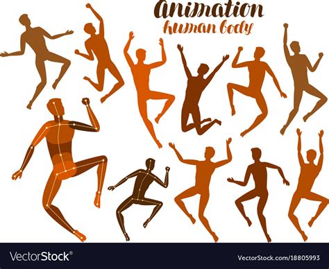 Animation Human Body Anatomy People In Motion Vector Image