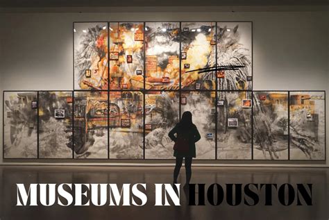 Houston Museums Guide