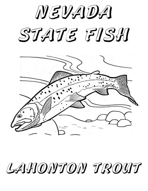 Trout Coloring Pages At Getdrawings Free Download
