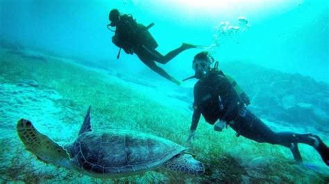 Scuba Diving In Turkey A Haunting Experience Travel Store Turkey