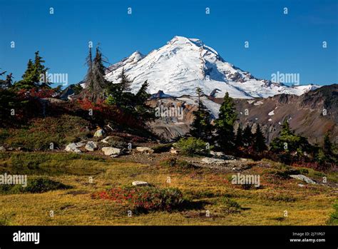 Wa21495 00washington Mount Baker Viewed From Table Mountain In The