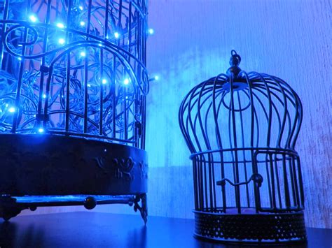 Trending price is based on prices from the last 90 days. Daughter of the jaded era: DIY: Gothic Decor with Lights