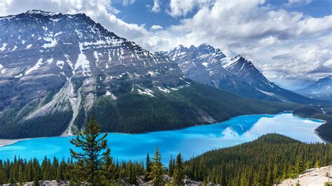 Lake Mountains Trees Sky Canada Peyto Lake Banff National Park