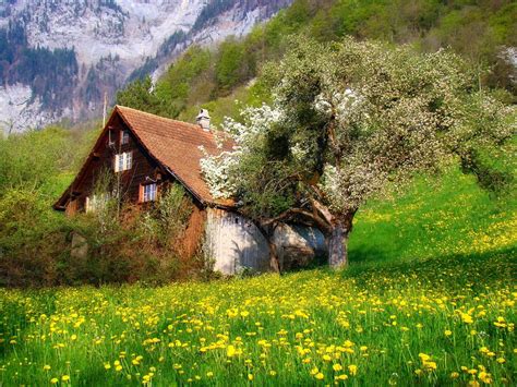 Photography Nature Landscape Cottage Flowers Spring Mountains