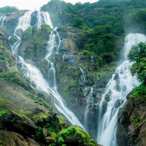 Monsoon Thrilling Dudhsagar Waterfall Trek Trekcommunity