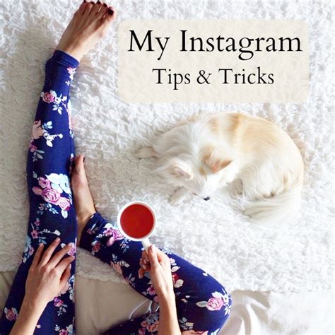 Pictures of delicious food floods our feed, and we can't get enough of it. How to Take Instagram Photos - My Tips & Tricks | La ...