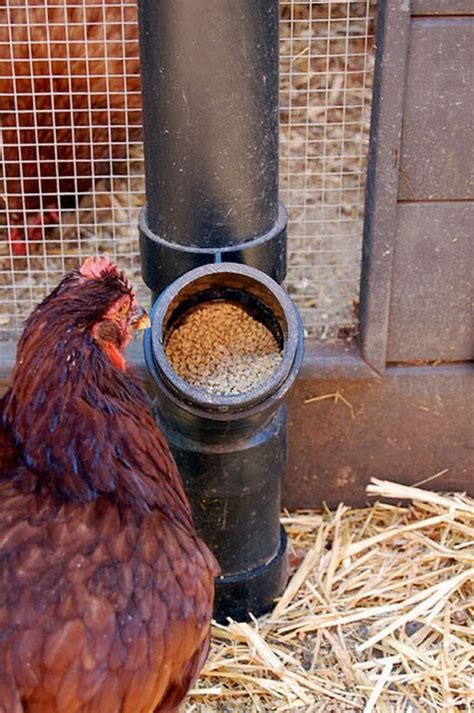 We've had our chickens in various coops over the years as we've moved and we've always seemed to come up with creative ways to make each one work. Clever solutions to reduce chicken feed waste | The Owner-Builder Network