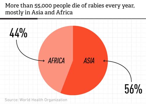 Man bites dog: a new rabies antidote could save 55,000 lives per year