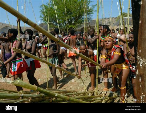 Miles Zulu Doncellas Participar En Reed Dance Donde Las Niñas Después De Someterse A Una Prueba