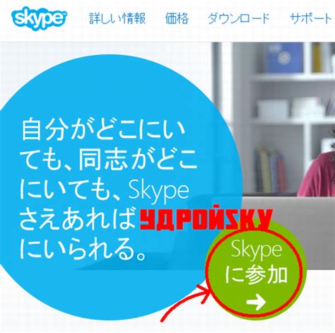 Skypeの導入 Yaponsky Darkfall Unholy Wars アットウィキ