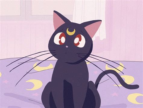 Anime Aesthetic Sailor Moon Cat Largest Wallpaper Portal The Best Porn Website