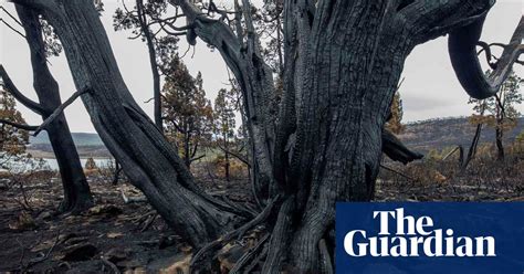This Is What Climate Change Looks Like In Australia In Pictures