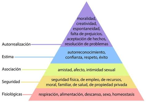 Ejemplos De Cada Nivel De La Piramide De Maslow Opciones De Ejemplo