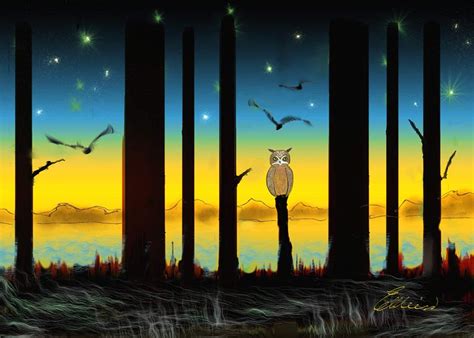 Owl In The Forest At Sunset Digital Art By Elaine Weiss