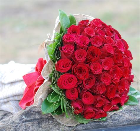 Spectacular 50 Red Roses Vb50 Angkor Flowers