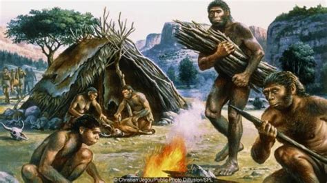 15 Million 400000 Years Ago Fire Power Missing The Forest For